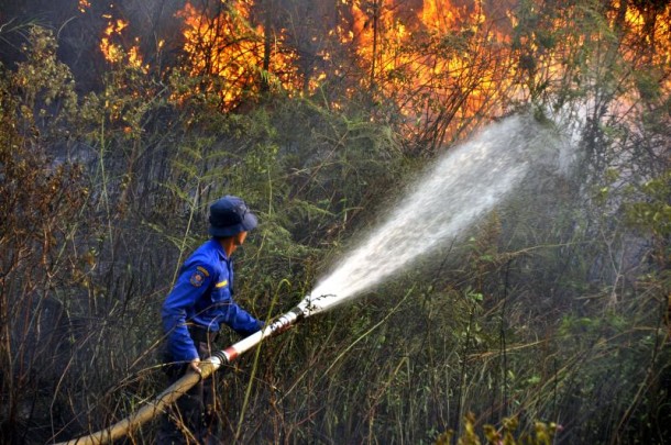 BPBD Lampung Minta Warga Waspada Kebakaran dan Kekeringan