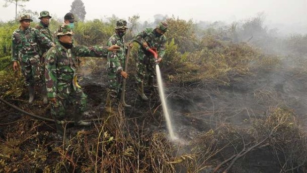 Penanganan kebakaran hutan di Riau | ist