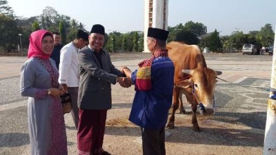 Pj Bupati Lamtim serahkan satu ekor sapi kepada PHBI Islamic Center Sukadana | WIdya/jejamo.com