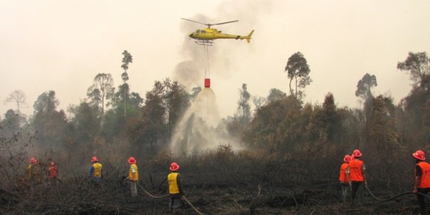 Kebakaran hutan di Riau | ist