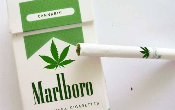 Philip Morris Mulai Pasarkan Marlboro Ganja di Amerika