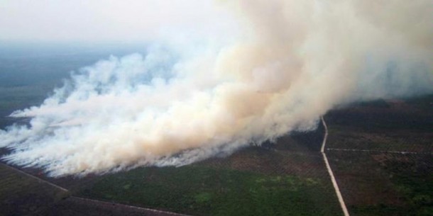 Kebakaran Lahan di Indonesia Saat Ini Terburuk Dalam Sejarah
