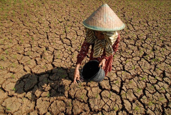 Petani Lampung Barat Harapkan Bantuan Sumur Bor