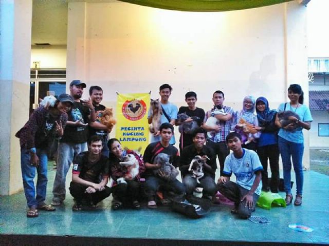 Komunitas Pecinta Kucing Lampung Gelar Kontes