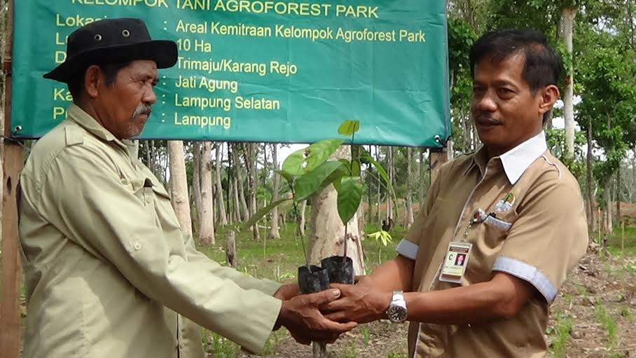 Kepala BP2HP Wilayah VI Bandar Lampung Hendro Widjanarko menyerahkan bantuan bibit kepada Ketua Kelompok Tani Agroforest Park, Kamidi. | Sugiono/Jejamo.com
