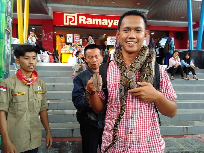 Salah satu pengunjung Ramayan Robinson foto dengan ular sanca batik dalam pameran satwa liar, Minggu 20/12/2015. | Sigit/Jejamo.com
