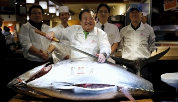 Ikan Tuna Ini Laku Terjual Rp 1.6 Miliar