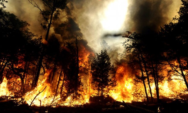Perusahaan Pembakar Hutan Menang di Pengadilan Negri Palembang