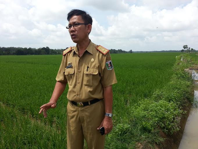 Swasembada Pangan, Pemkab Lampung Timur Targetkan Produksi Padi 1 Juta Ton