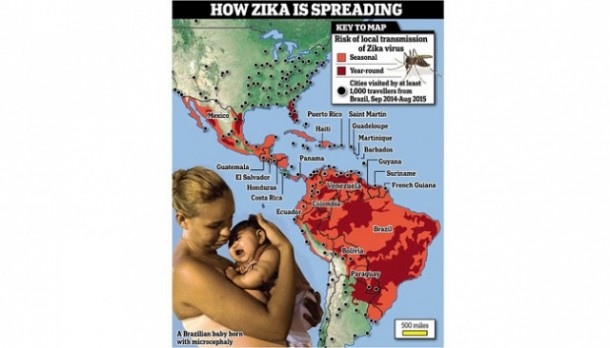 Virus Zika Ternyata Sudah Ada di Indonesia Sejak Tahun 1977