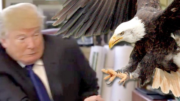 Trump and Eagle
