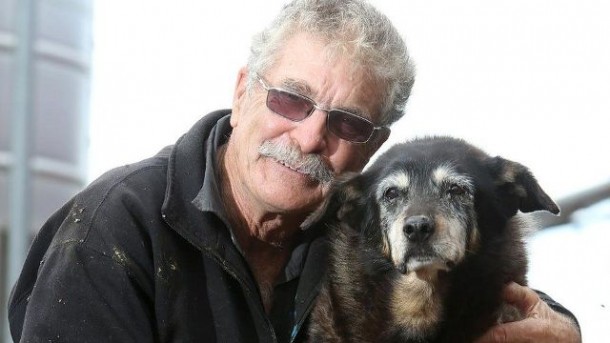 Anjing Tertua di Dunia Ini Mati Dalam Damai