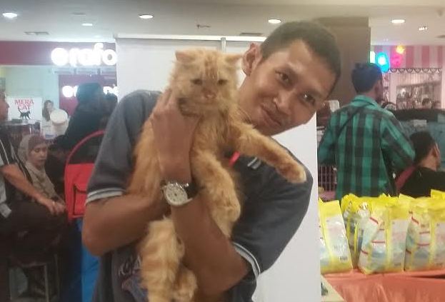 Inilah Keseruan Kontes Cat Show 2016 di Bandar Lampung