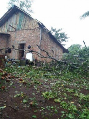 Baru 20 Hari Ditinggali, Rumah Ade Hardiyanto Rusak Parah Ditimpa Pohon Tumbang