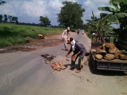 Jalan di Batanghari Lampung Timur Rusak Parah, Lubang Hingga 75 Cm