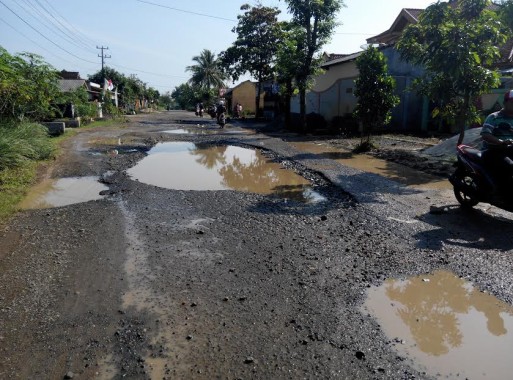 Warga Desa Banjar Rejo Lampung Timur Tagih Janji Bupati Perbaiki Jalan Kabupaten