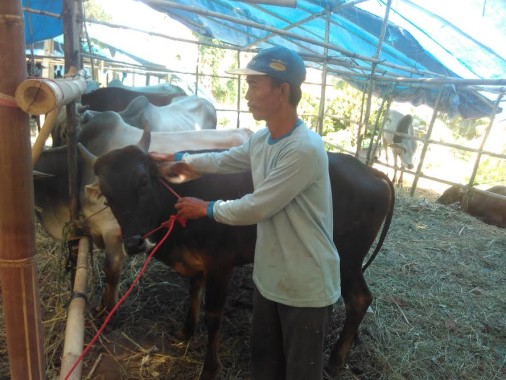 229 KK di Ogan Jaya Lampung Utara Tinggal di Rumah Tak Layak Huni