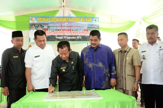 2 Ekor Siamang di Lampung Utara Kembali Diserahkan ke BKSDA Bengkulu