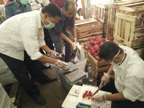Petugas tim gabungan sedang melakukan uji sederhana untuk mengetahui kandungan zat berbahaya dalam buah-buahan yang dijual ke masyarakat, Rabu, 21/12/2016. | Sugiono/Jejamo.com