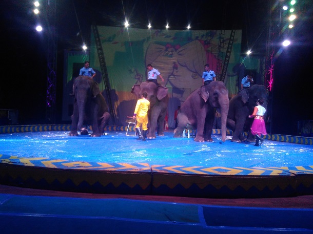 Oriental Circus Indonesia Hadir Sebulan Penuh di Lapangan Saburai Bandar Lampung