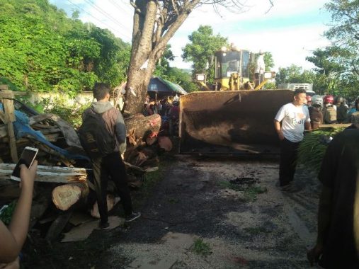 BREAKING NEWS: Pengendara Motor Tewas Tertimpa Pohon Kedondong di Srengsem Panjang