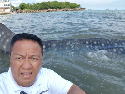 Hiu Tutul 15 Meter Terdampar di Pantai Sukaraja Bumiwaras Bandar Lampung