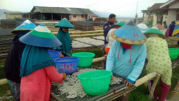 Cuaca Buruk, Pengusaha Ikan Asin Pulau Pasaran Kurangi Pekerja