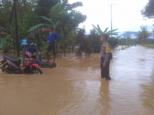 9 Kecamatan Tanggamus Tanggap Bencana, Bupati Dewi Handajani Berikan Bantuan