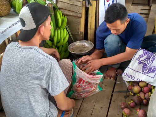 Manggis dengan Antioksidan Tinggi Kini Mudah Didapat di Sentra Buah Sukadanaham Bandar Lampung
