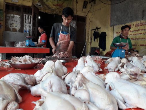 Harga Daging Ayam Potong di Pasar Tugu Bandar Lampung Turun Rp3.000