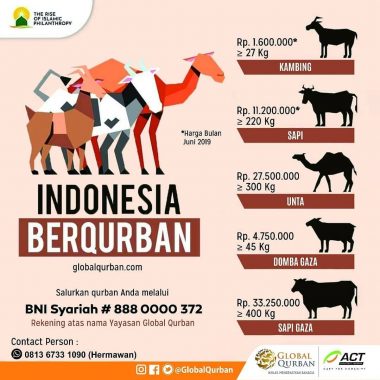 Global Qurban-ACT Lampung Tawarkan Harga Qurban Spesial