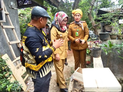 Bupati Dewi Handajani Lihat Peternakan Lebah Komunitas Lebah Madu Tanggamus