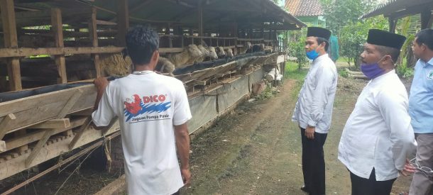 Kadis Pertanian Tanaman Pangan dan Hortikultura Tanggamus Turunkan Tim Cek Sawah Terbengkalai