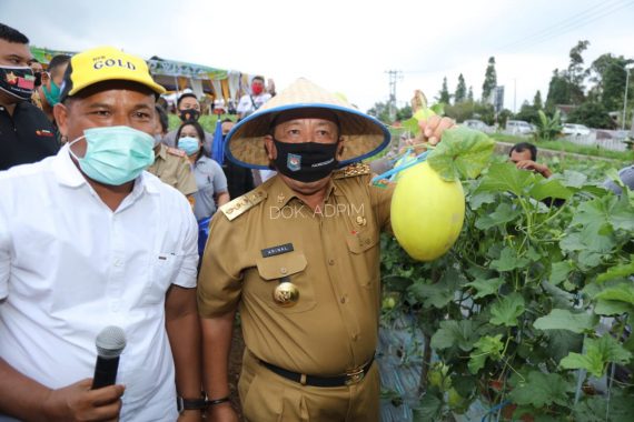 Gubernur Arinal Panen Perdana Melon dan Semangka di Agrowisata Hortipark Pesawaran