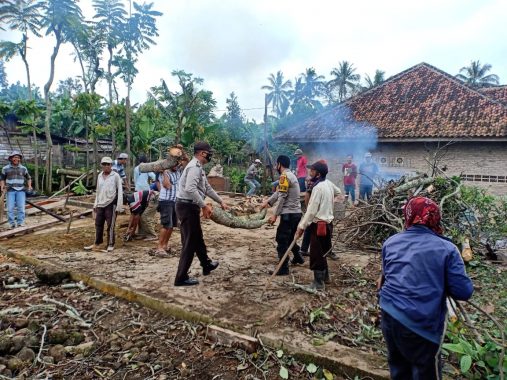 Pemkab Lampung Selatan Terima 19 Unit Alsintan dari Kementerian Pertanian