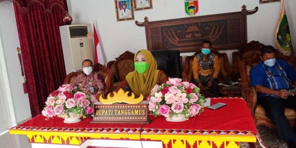 Nanang Ermanto Minta Pelaku Usaha di Lampung Selatan Bantu Tangani Covid-19