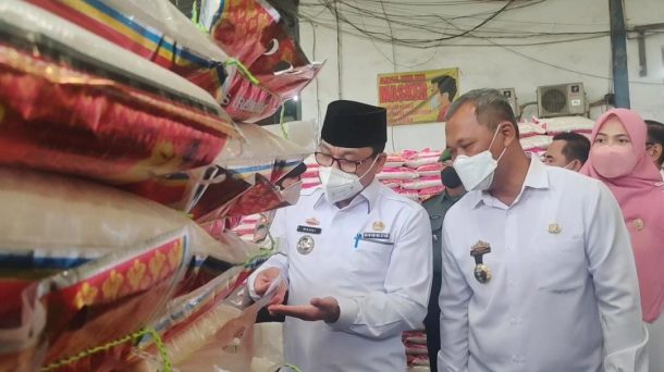 Gerak Cepat, Tim Dinas PUPR Tanggamus Survei Rumah Rusak Karena Tertimpa Pohon Tumbang