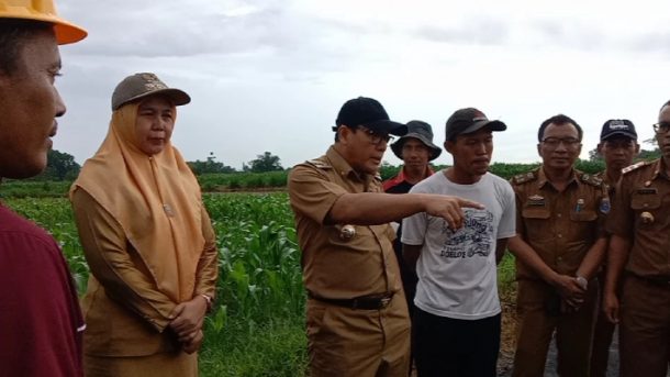Jalan Sehat Meriahkan HUT Lampung Selatan Ke-66 dan Peringatan HKN 2022 