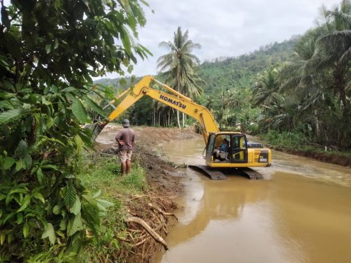 Tanggul Jebol, Puluhan Hektare Sawah di Pekon Way Kerap Semaka Terendam Air dan Lumpur