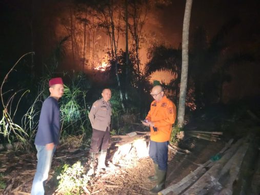 Puluhan Hektare Lahan di Pugung Terbakar, Pemkab Tanggamus Berlakukan Tanggap Darurat Bencana