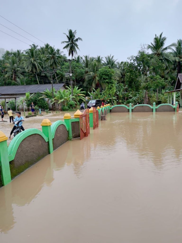 Hujan Semalaman, Lima Desa di Padang Cermin Terendam Banjir
