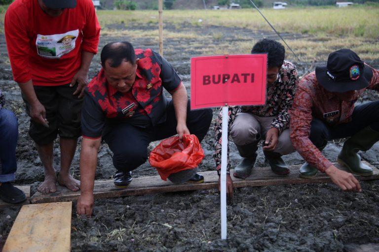 Dinas TPHP Lampung Selatan Gelar Gertak Bawang Merah di Ketapang