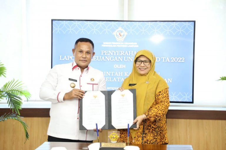 BPK Apresiasi Penyerahan LKPD Kabupaten Lampung Selatan