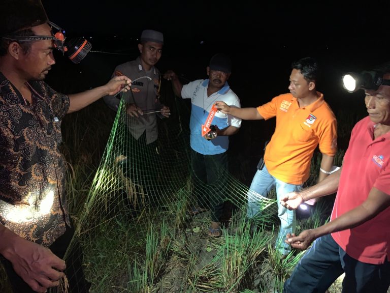 Cari Burung di Sawah, Bocah 13 Tahun Asal Pringsewu Tewas Tersambar Petir