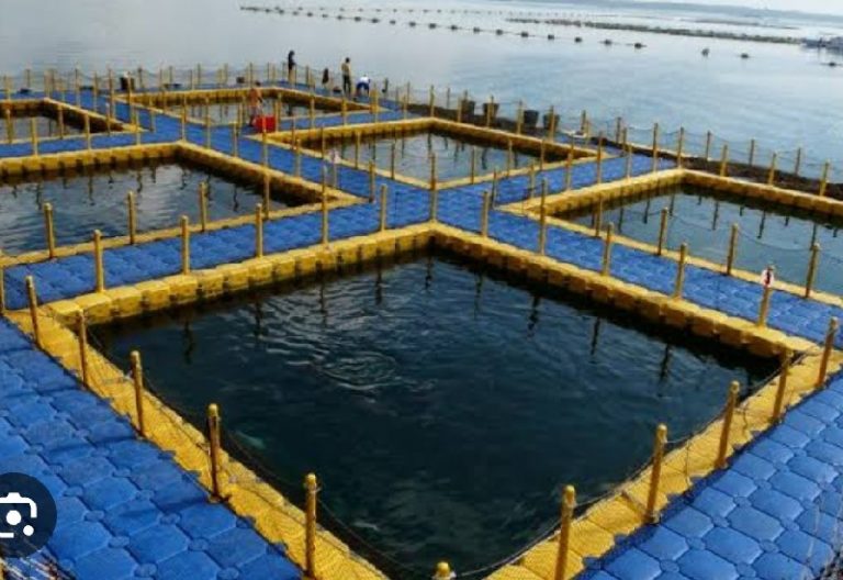 Pemkab Lampung Barat Terbuka Japfa Investasi Rp400 Miliar