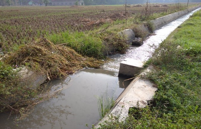 Persiapan Musim Tanam II