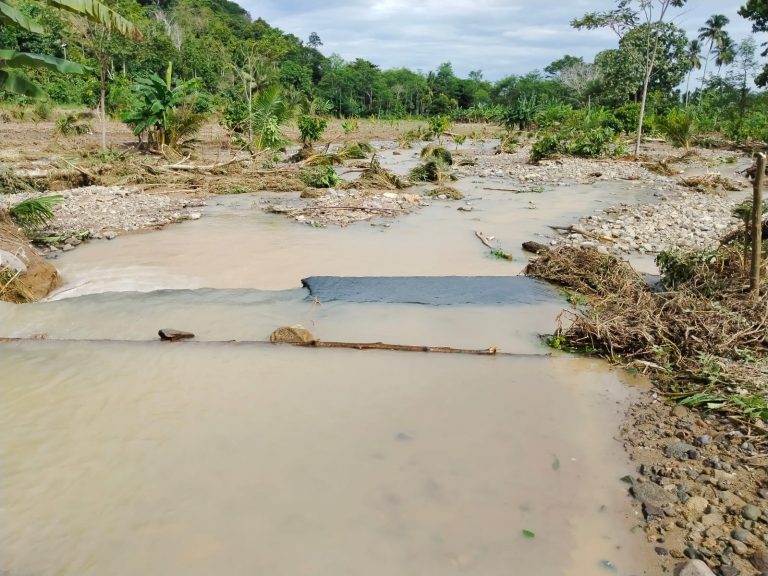 Banjir Sungai Kedaung Tanggamus Menggerus Badan Jalan dan Lahan Perkebunan